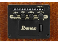 Ibanez AC390CE-NT Ibanez AC390CE-NT